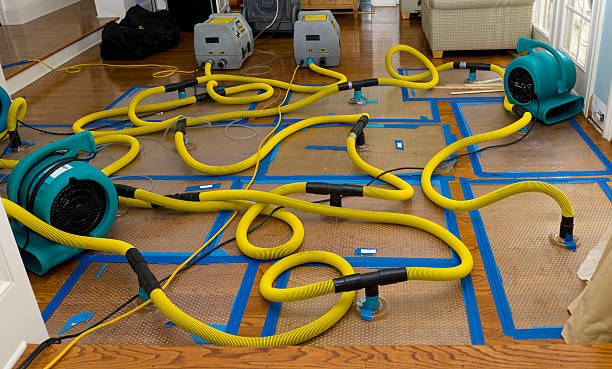 Professional Sewage Cleanup technician working in Northfield, KY